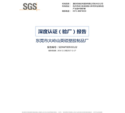 SGS深度驗廠報告